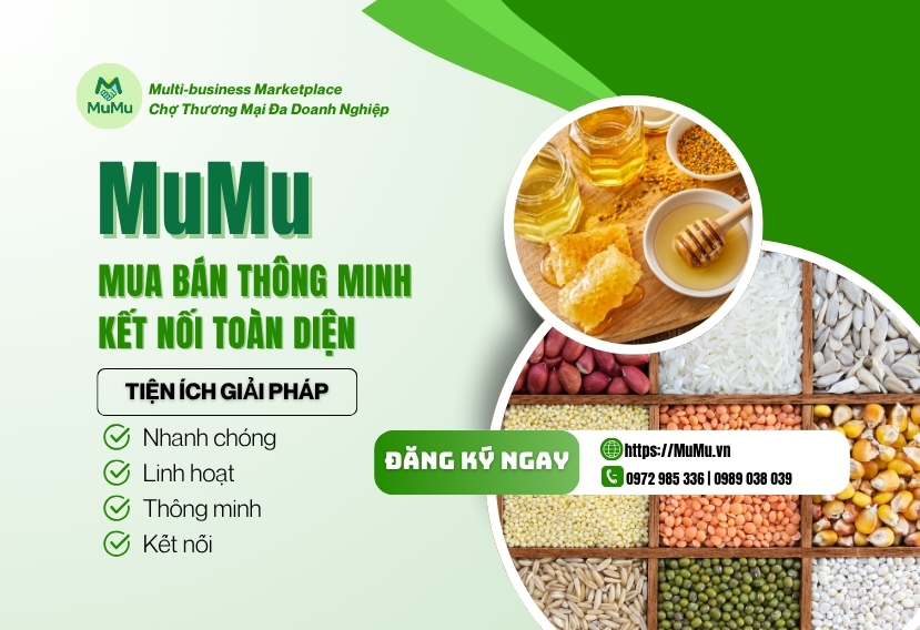 4. Giải pháp MuMu